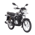 Bajaj Platina 100 ES